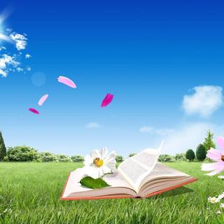 Wallpapers online free