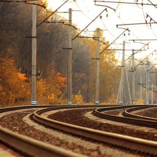 Nice pics to download