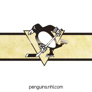 Pittsburgh Penguins background