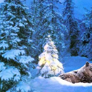 Free Christmas PC wallpaper