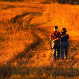 Wallpapers of lovers