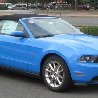 Mustang images
