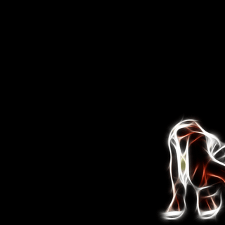 Pokemon black wallpaper