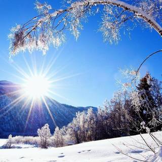 Winter landscapes wallpaper