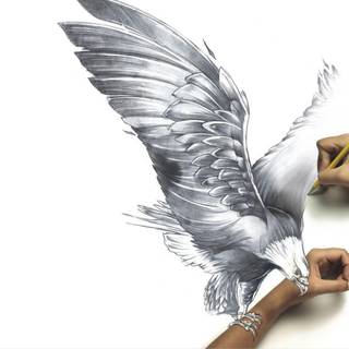 Free eagles wallpaper