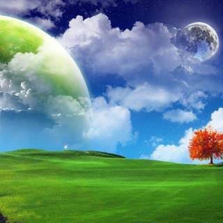 Beautiful wallpaper of nature