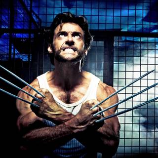 The wolverine 2015 wallpaper
