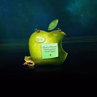 Funny wallpaper and images