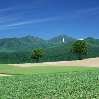 Santabanta nature wallpaper