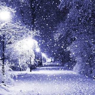 Snowy wallpaper