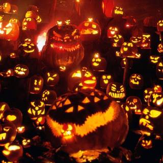 Backgrounds Halloween