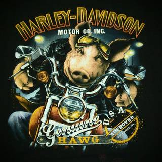 Harley Davidson 3D wallpaper