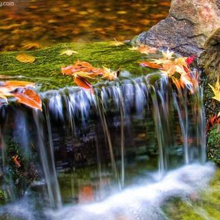 Beautiful waterfall wallpaper