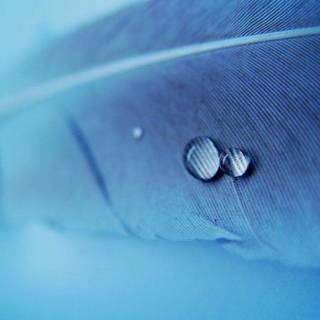 Windows background pictures