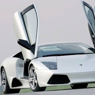 Widescreen desktop wallpaper