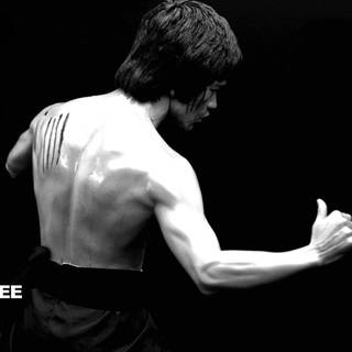 Martial arts wallpaper