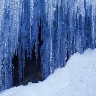 Winter scenes backgrounds