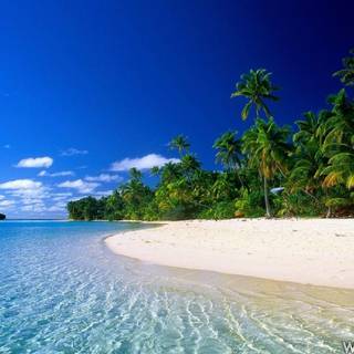 Nature wallpaper for PC