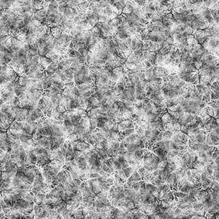 Black and white background