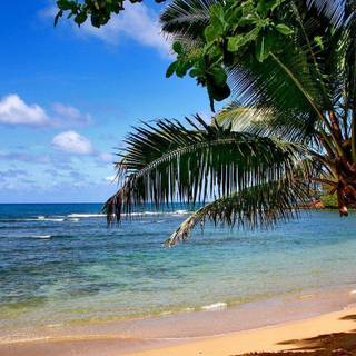 Beach wallpaper free