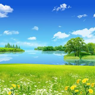 Nature wallpaper 2015