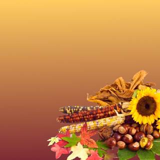 Thanksgiving backgrounds