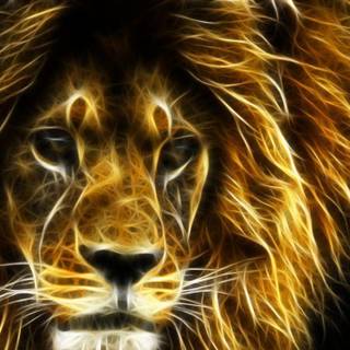 Lion wall paper