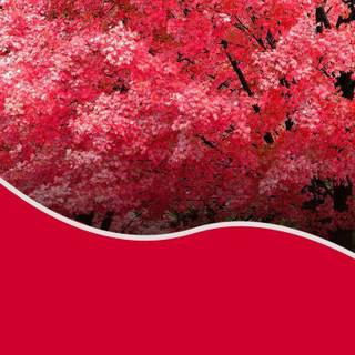 Background style powerpoint 2015 color pink