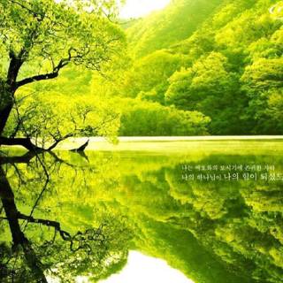 Wallpaper with Bible verses