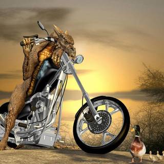 Funny wallpaper images