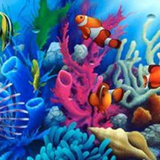 Coral reef wallpaper