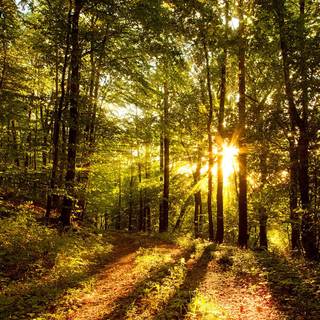 Cool nature backgrounds