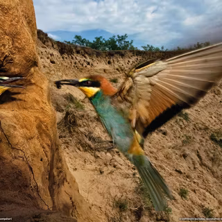 National Geographic wallpaper HD