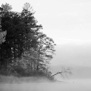 Best black and white wallpaper