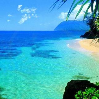 Cool ocean backgrounds