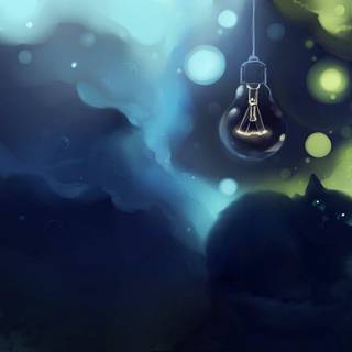 Cat desktop backgrounds