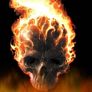 Fire skulls pictures