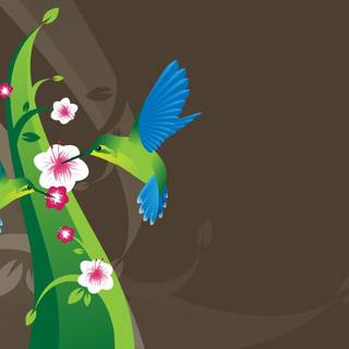 Hummingbirds wallpaper