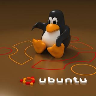 Best Ubuntu wallpaper