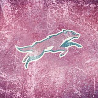 Arizona Coyotes wallpaper