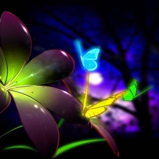 Beautiful colorful wallpaper