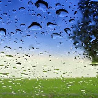 Nature rain wallpaper