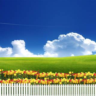 Spring season wallpaper