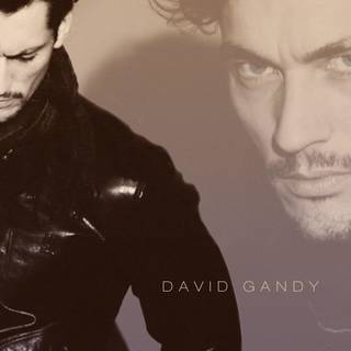 David Gandy wallpaper