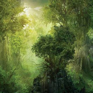 Fantasy forest wallpaper