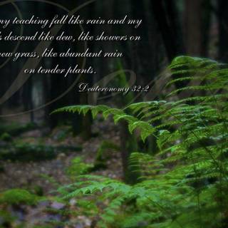 Religious desktop backgrounds