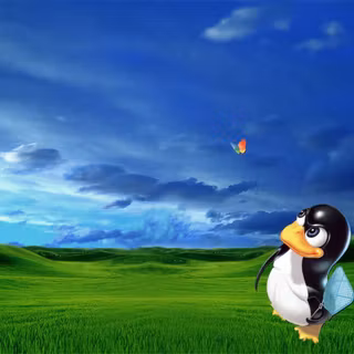 Microsoft free desktop backgrounds