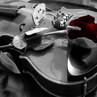 Violin wallpaper