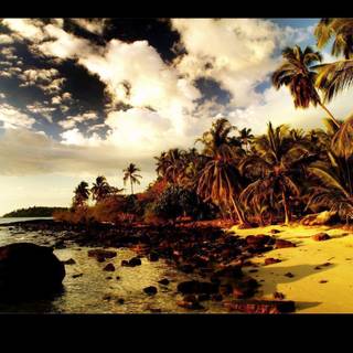 Beach sunset wallpaper