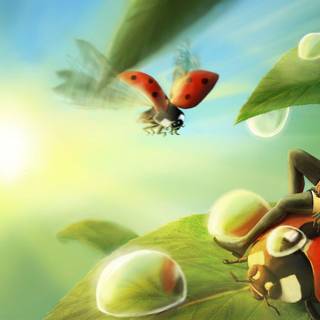 Lady bug wallpaper